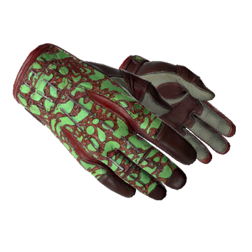 ★ Sport Gloves | Bronze Morph (Minimal Wear)