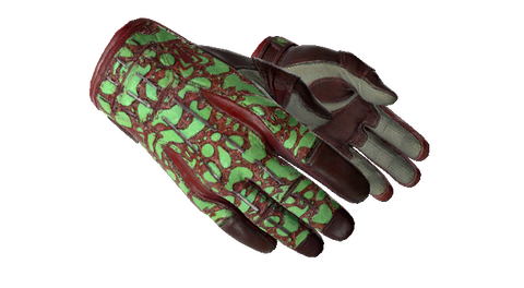 ★ Sport Gloves | Bronze Morph (Factory New)