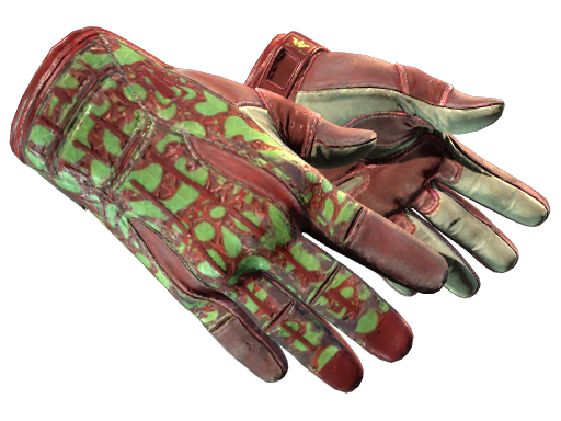 Default of skin ★ Sport Gloves | Bronze Morph