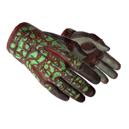 ★ Sport Gloves | Bronze Morph (Field-Tested)