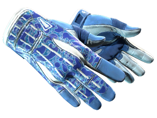 ★ Sport Gloves | Amphibious (Minimal Wear)