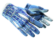★ Sport Gloves | Amphibious (Minimal Wear)