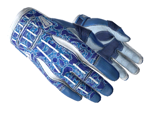 Image for the ★ Sport Gloves | Amphibious weapon skin in Counter Strike 2