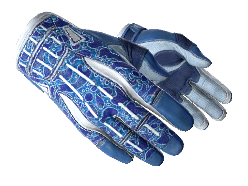 ★ Sport Gloves | Amphibious (Factory New)