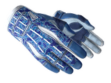 ★ Sport Gloves | Amphibious (Minimal Wear)