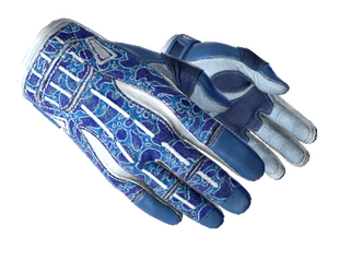 ★ Sport Gloves | Amphibious