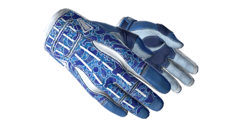 ★ Sport Gloves | Amphibious (Minimal Wear)