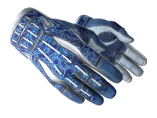 ★ Sport Gloves | Amphibious (Field-Tested)