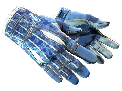 Default of skin ★ Sport Gloves | Amphibious