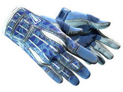 ★ Sport Gloves | Amphibious