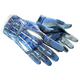 ★ Sport Gloves | Amphibious (Well-Worn)