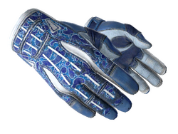 ★ Sport Gloves | Amphibious