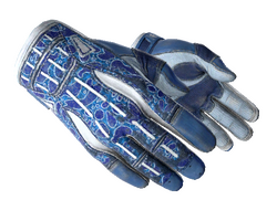★ Sport Gloves | Amphibious