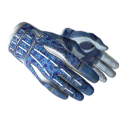 free cs2 skins ★ Sport Gloves | Amphibious (Well-Worn)