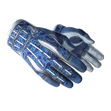 ★ Sport Gloves | Amphibious (Field-Tested)