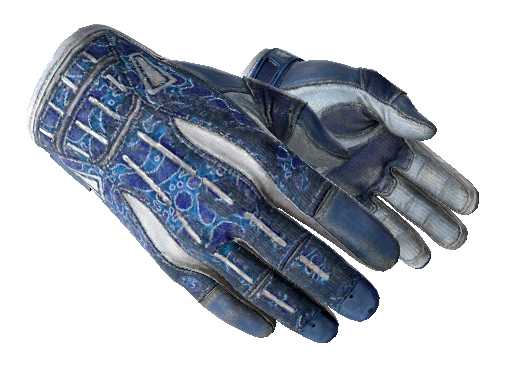 ★ Sport Gloves | Amphibious