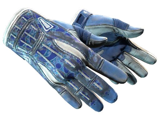 ★ Sport Gloves | Amphibious