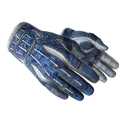 ★ Sport Gloves | Amphibious (Battle-Scarred)