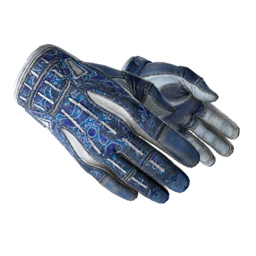 ★ Sport Gloves | Amphibious (Battle-Scarred)
