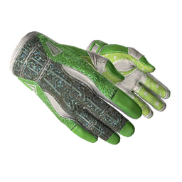 ★ Sport Gloves | Hedge Maze (Minimal Wear)