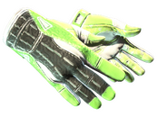 ★ Sport Gloves | Hedge Maze (Factory New)