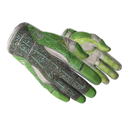free csgo skin ★ Sport Gloves | Hedge Maze (Field-Tested)