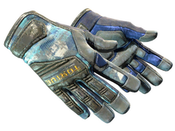 ★ Specialist Gloves | Mogul