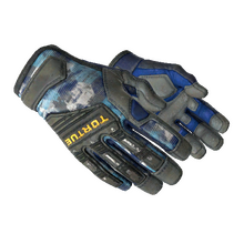 ★ Specialist Gloves | Mogul (Field-Tested)