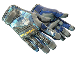 ★ Specialist Gloves | Mogul
