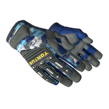 ★ Specialist Gloves | Mogul (Minimal Wear)