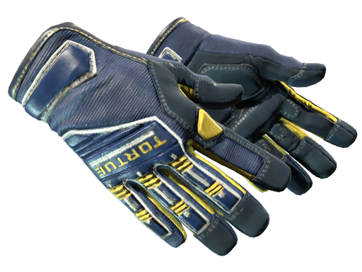 Default of skin ★ Specialist Gloves | Field Agent