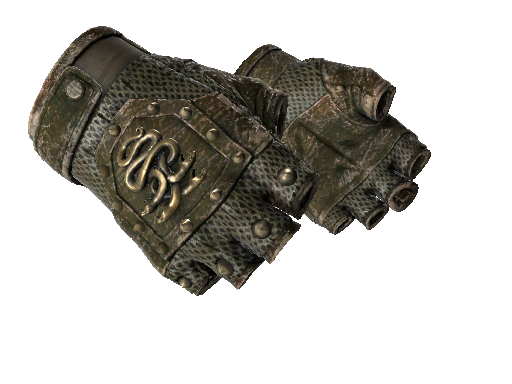 ★ Hydra Gloves | Mangrove (Battle-Scarred)