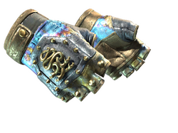 ★ Hydra Gloves | Case Hardened