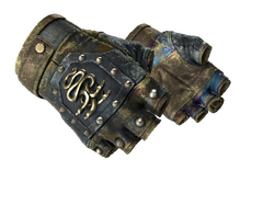 ★ Hydra Gloves | Case Hardened