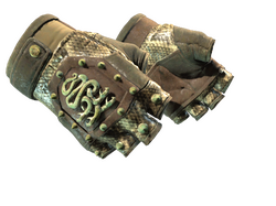 ★ Hydra Gloves | Rattler