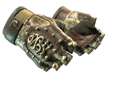 ★ Hydra Gloves | Rattler