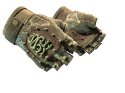 ★ Hydra Gloves | Rattler