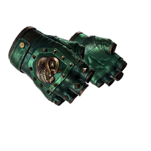 ★ Broken Fang Gloves | Jade (Well-Worn)