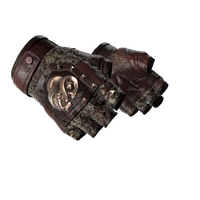 ★ Broken Fang Gloves | Needle Point (Factory New)