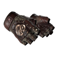 ★ Broken Fang Gloves | Needle Point (Minimal Wear)