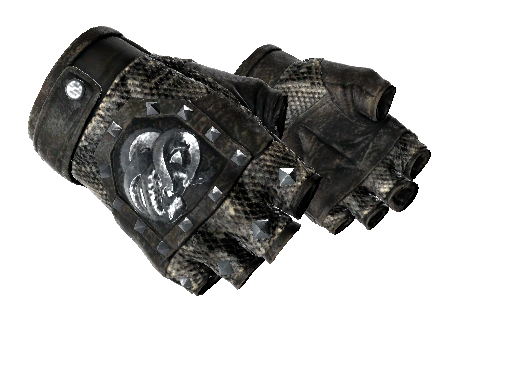 ★ Broken Fang Gloves | Unhinged (Well-Worn)