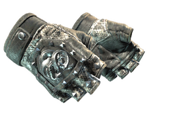 ★ Broken Fang Gloves | Unhinged