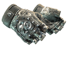 ★ Broken Fang Gloves | Unhinged