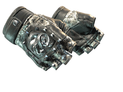 ★ Broken Fang Gloves | Unhinged