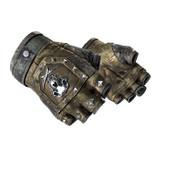 ★ Bloodhound Gloves | Bronzed (Battle-Scarred)