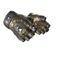★ Bloodhound Gloves | Bronzed (Field-Tested)