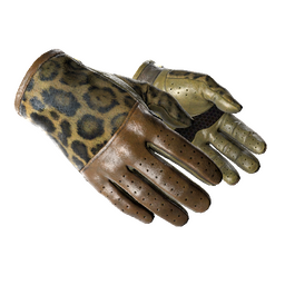 free cs2 skins ★ Driver Gloves | Queen Jaguar (Factory New)