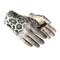 free cs2 skins ★ Driver Gloves | Snow Leopard (Well-Worn)