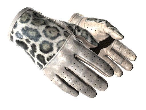 Image for the ★ Driver Gloves | Snow Leopard weapon skin in Counter Strike 2