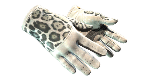 ★ Driver Gloves | Snow Leopard (Minimal Wear)